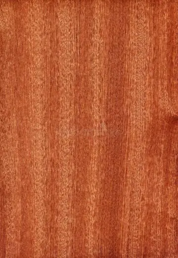 Sapele