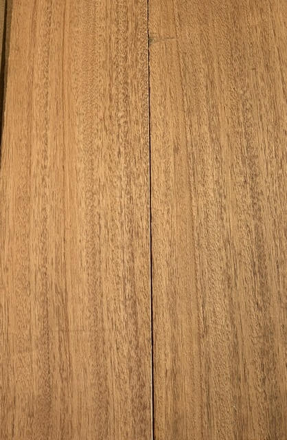 African Mahogany