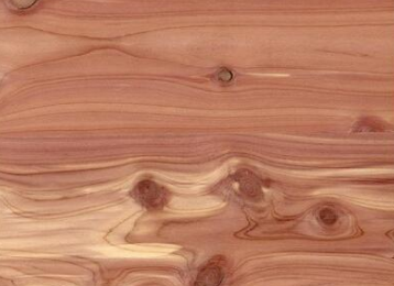 Aromatic Cedar