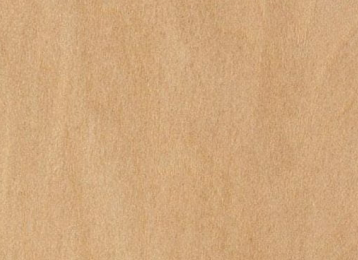Basswood